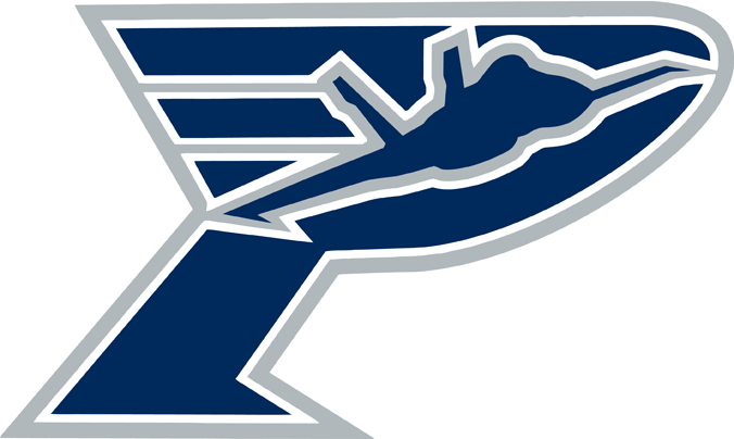 pensacola ice flyers 2013-pres secondary logo iron on transfers for T-shirts